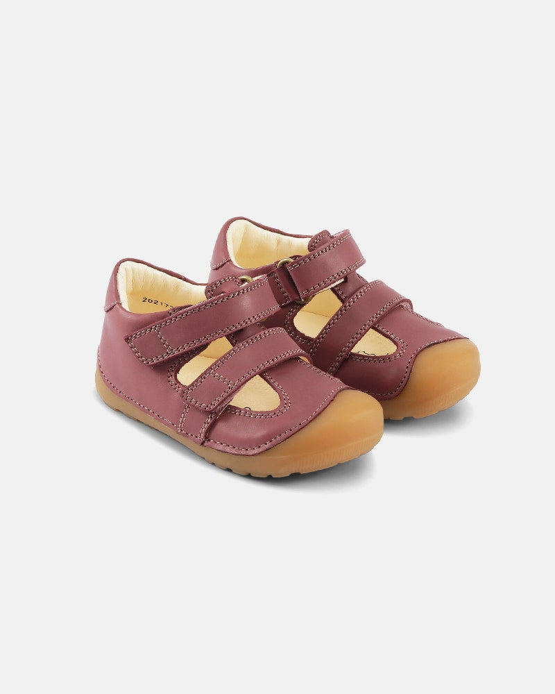 Petit Summer Dark Rose