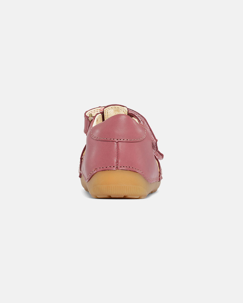 Petit Summer Dark Rose