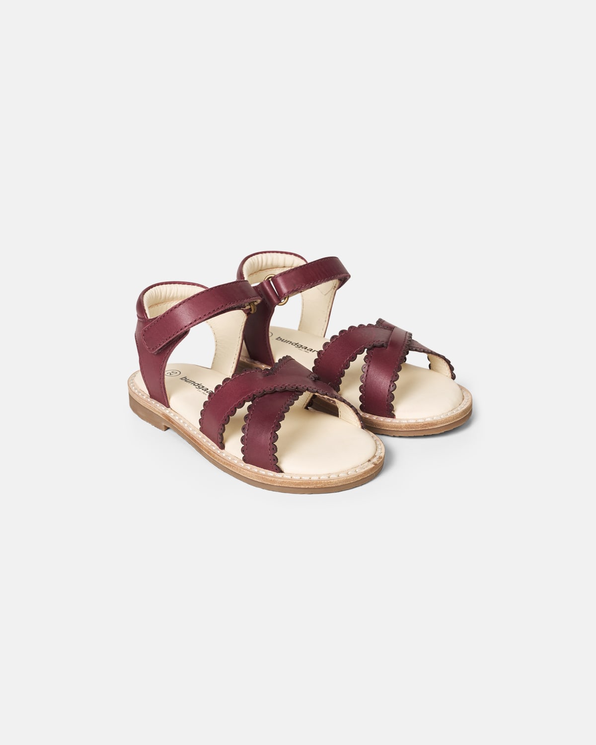 Laura Scallop Berry