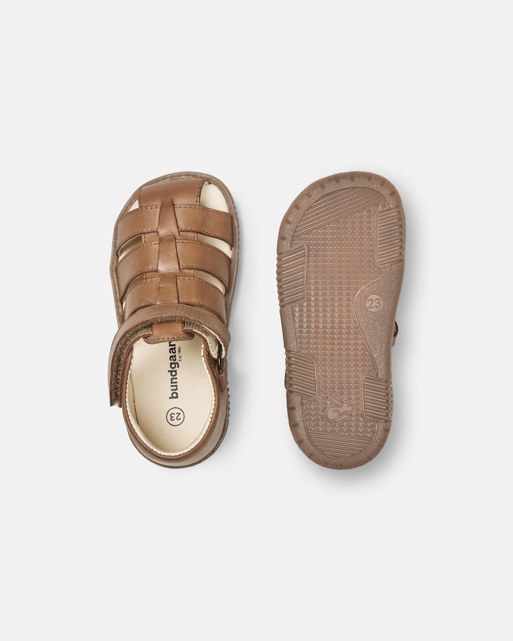 Rollo Cognac