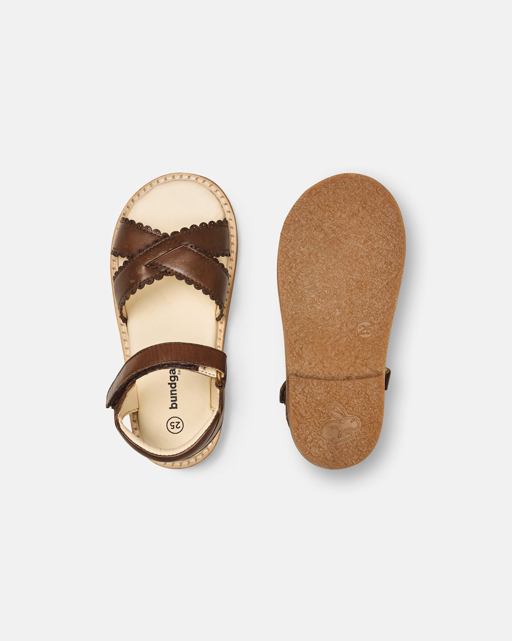 Laura Scallop Dark Brown