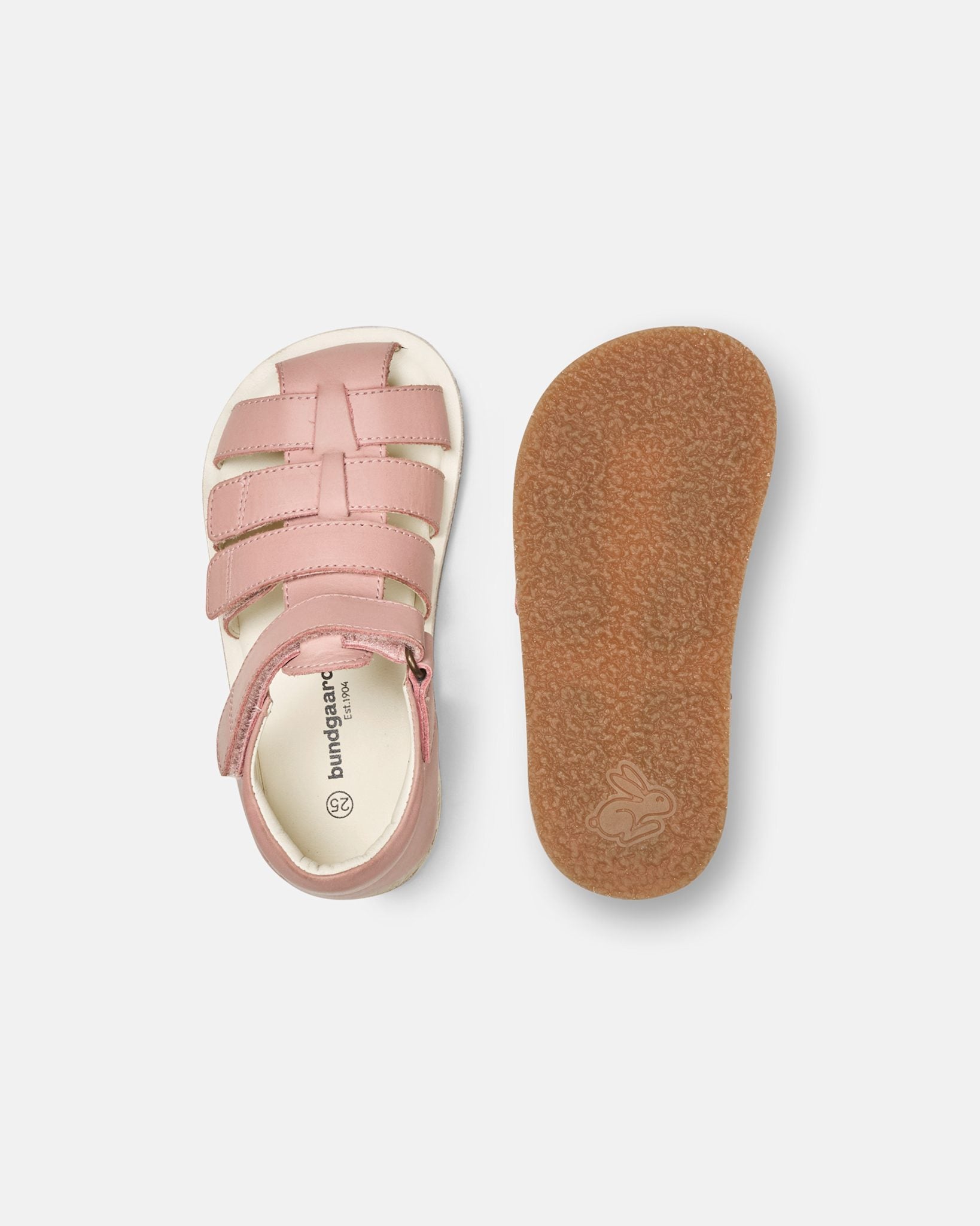 Sebastian Vintage Rose