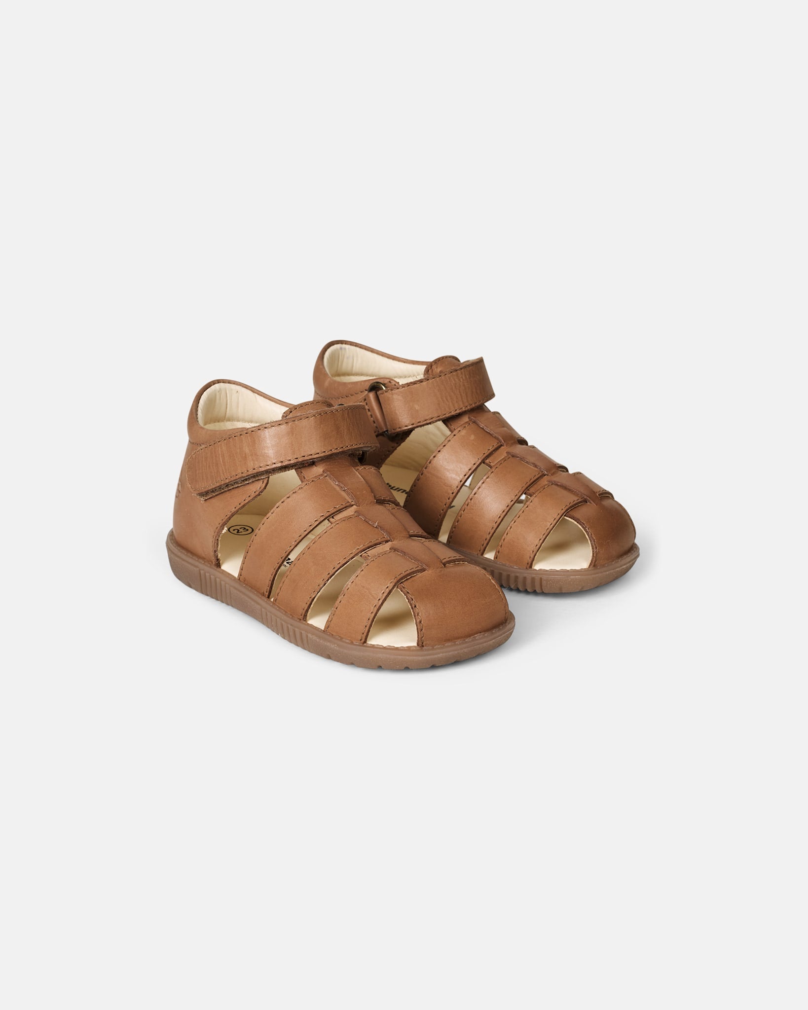 Rollo Cognac