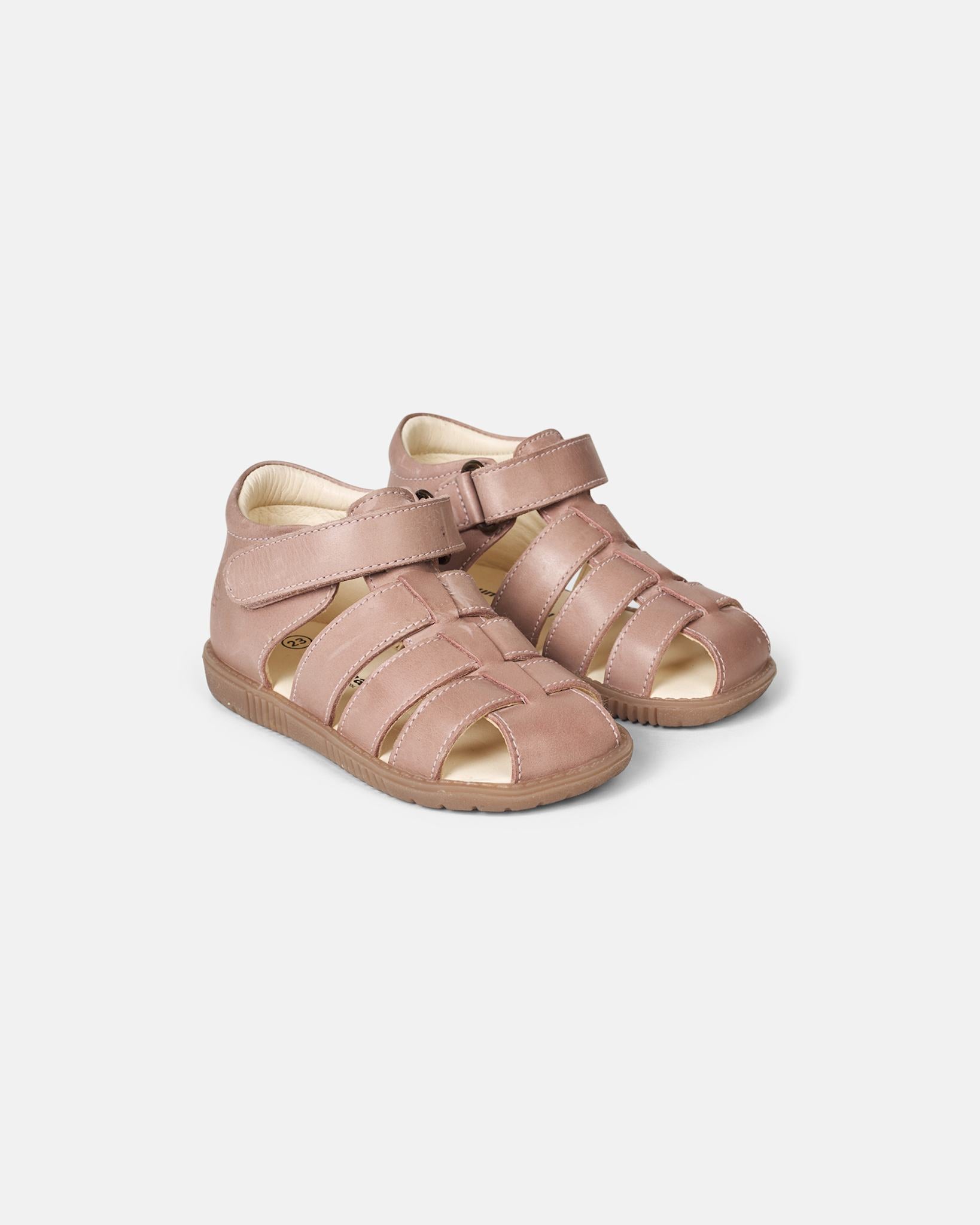 Rollo Dusty Rose