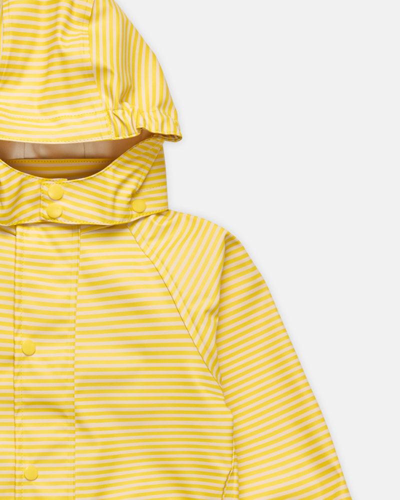 Cayce Sunflower Stripe